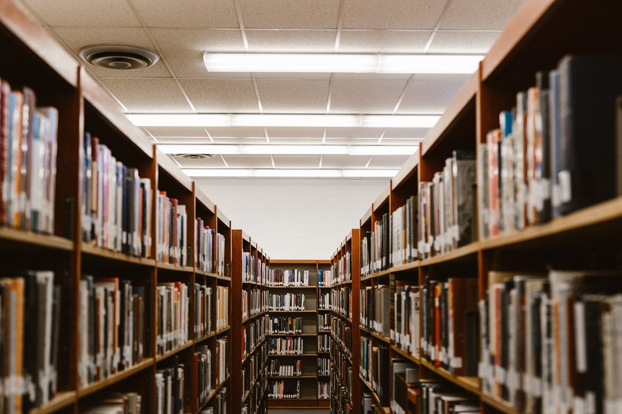 中国大学生网是什么意思/中国大学生网登录