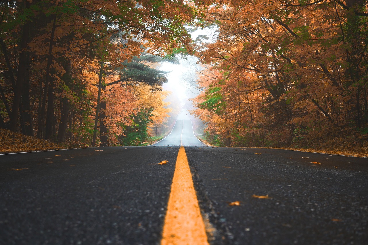 【端午节高速路是否免费2020/端午节高速路是不是免费】
