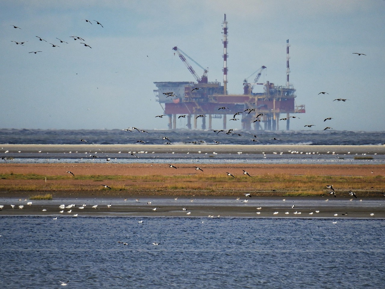 【油价格,油价格多少】