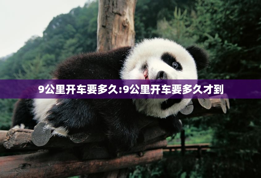 9公里开车要多久:9公里开车要多久才到