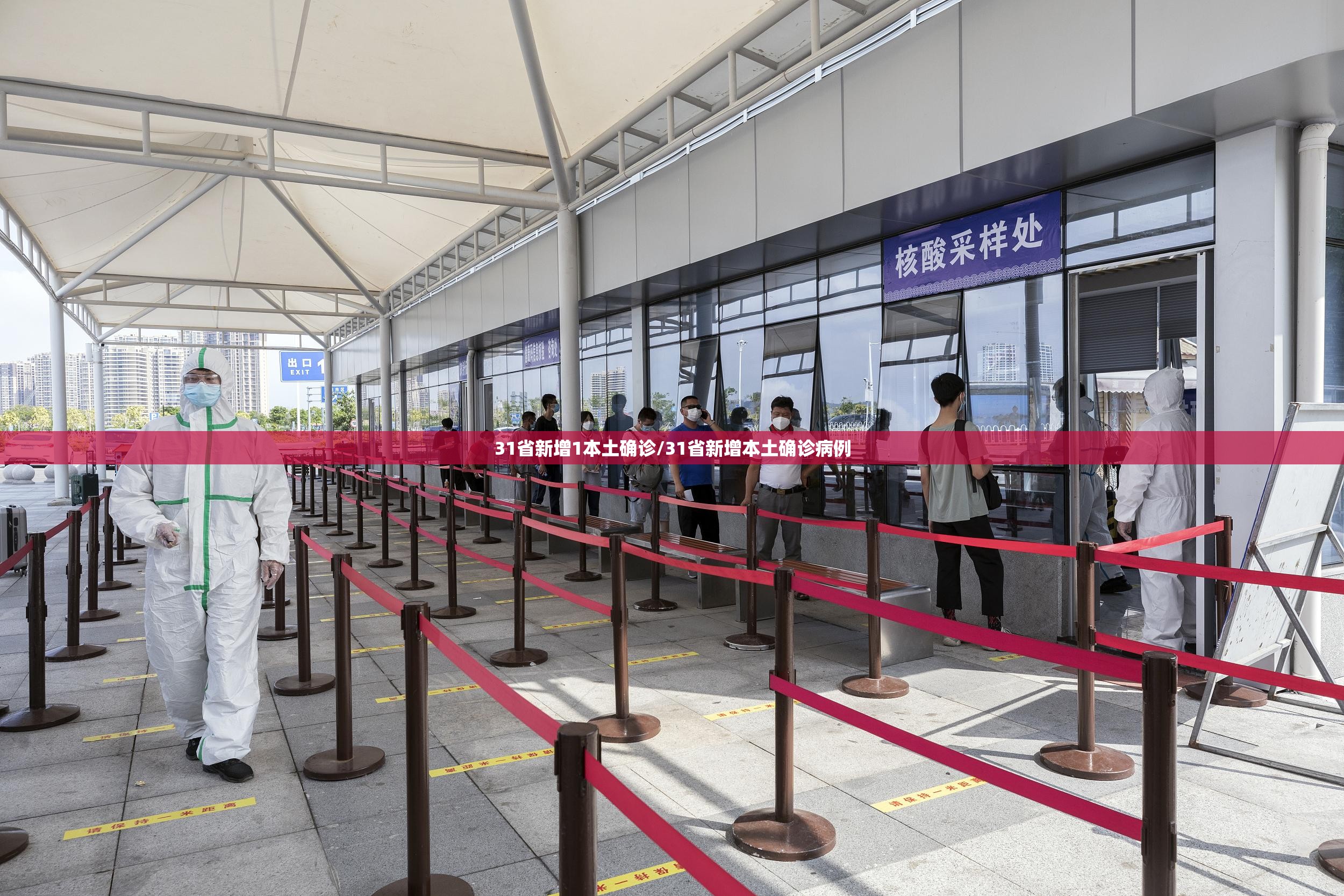 31省新增1本土确诊/31省新增本土确诊病例