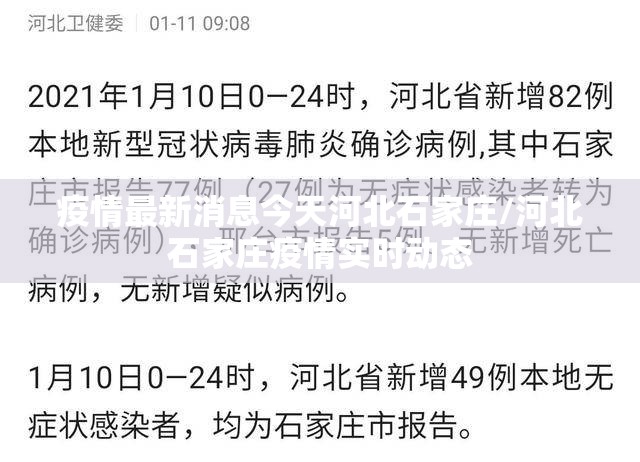 疫情最新消息今天河北石家庄/河北石家庄疫情实时动态