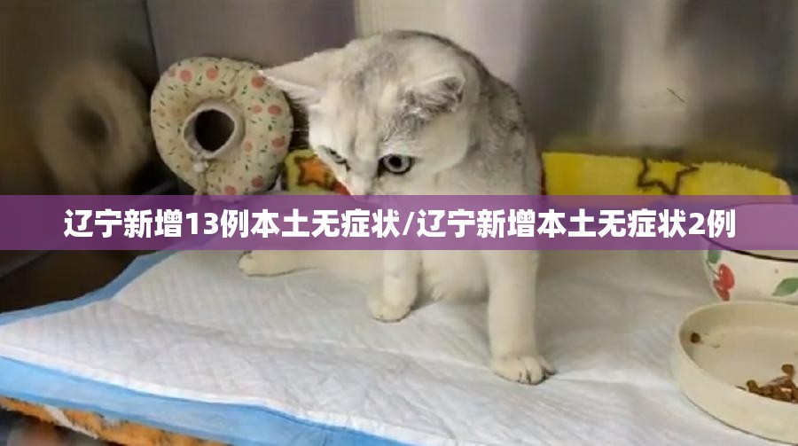 辽宁新增13例本土无症状/辽宁新增本土无症状2例 辽宁新增13例本土无症状/辽宁新增本土无症状2例
