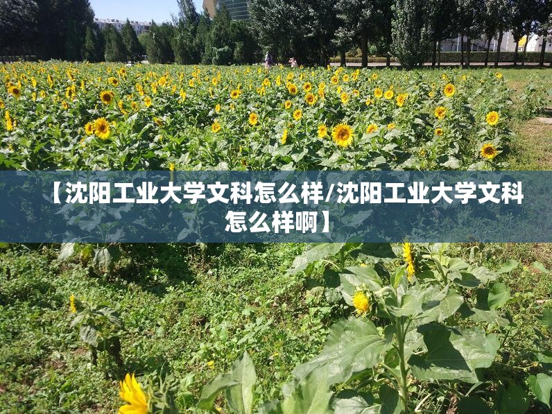 【沈阳工业大学文科怎么样/沈阳工业大学文科怎么样啊】 【沈阳工业大学文科怎么样/沈阳工业大学文科怎么样啊】