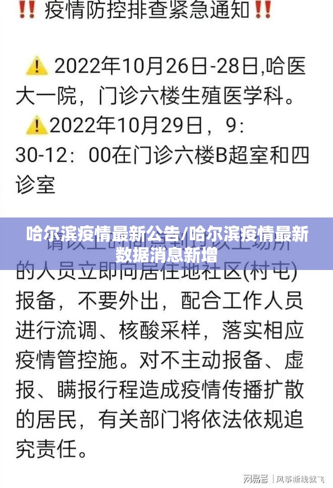 哈尔滨疫情最新公告/哈尔滨疫情最新数据消息新增
