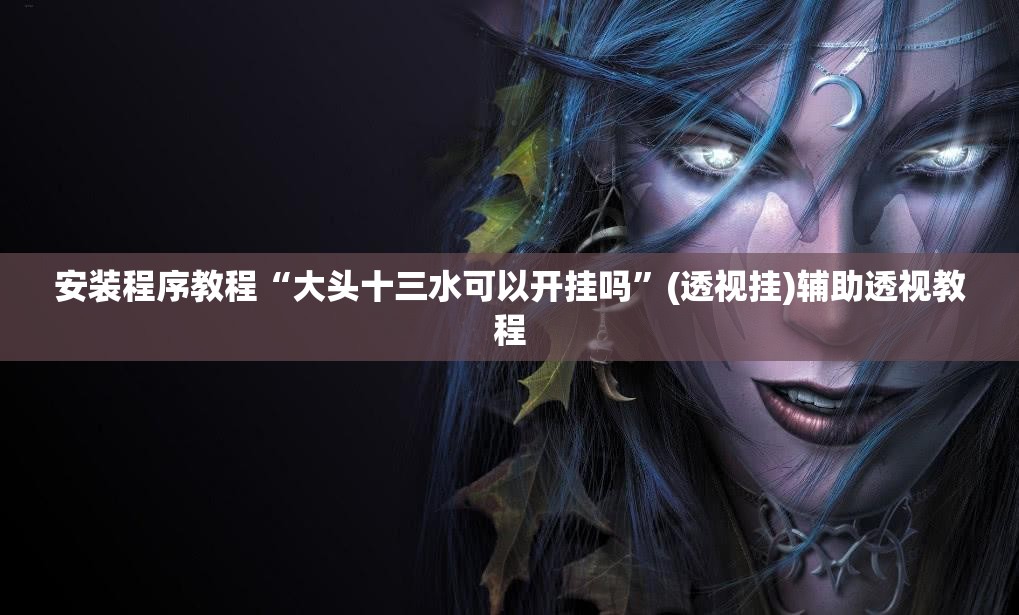 安装程序教程“大头十三水可以开挂吗”(透视挂)辅助透视教程