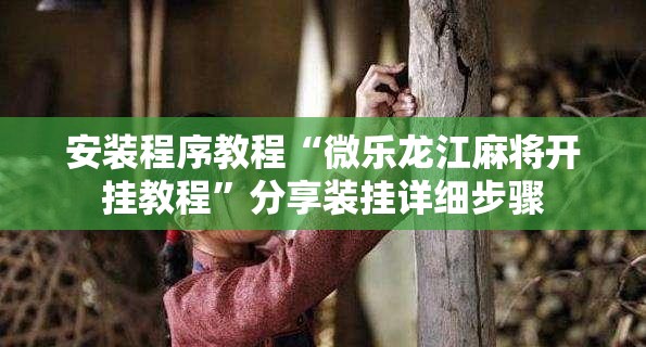 安装程序教程“微乐龙江麻将开挂教程”分享装挂详细步骤