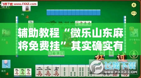 辅助教程“微乐山东麻将免费挂	”其实确实有挂