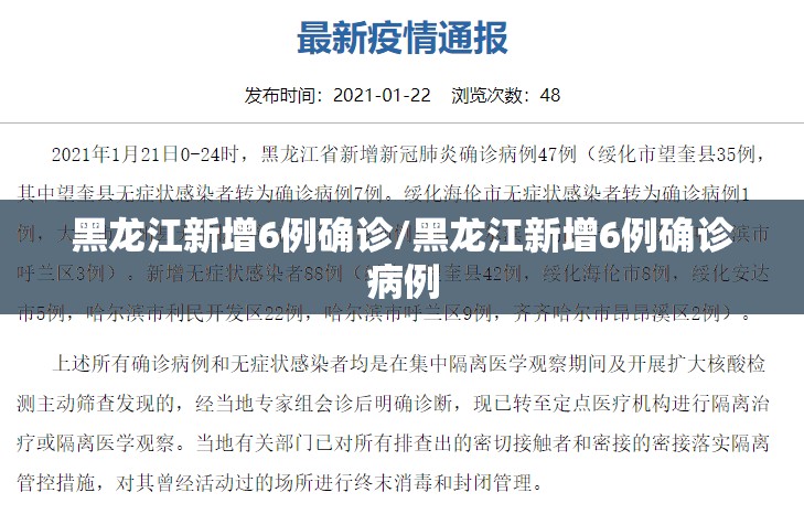 黑龙江新增6例确诊/黑龙江新增6例确诊病例