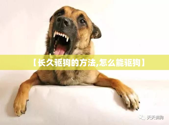 【长久驱狗的方法,怎么能驱狗】 【长久驱狗的方法,怎么能驱狗】