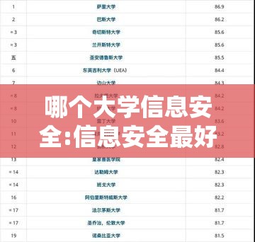 哪个大学信息安全:信息安全最好的大学排名
