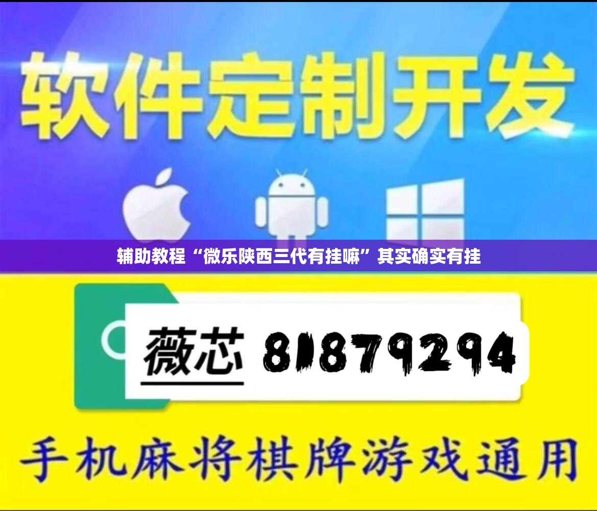 辅助教程“微乐陕西三代有挂嘛”其实确实有挂