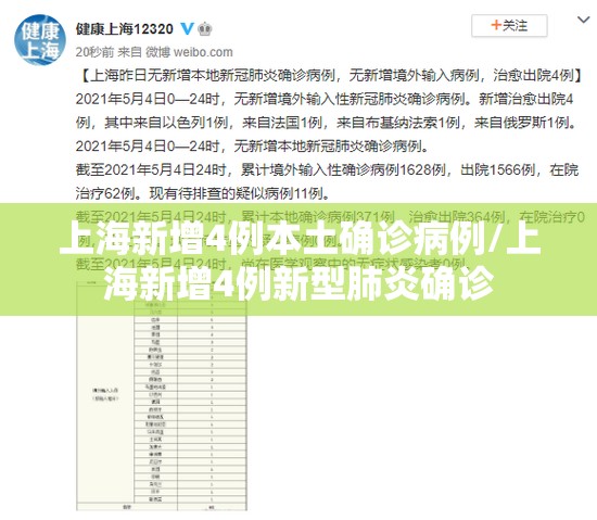 上海新增4例本土确诊病例/上海新增4例新型肺炎确诊 上海新增4例本土确诊病例/上海新增4例新型肺炎确诊