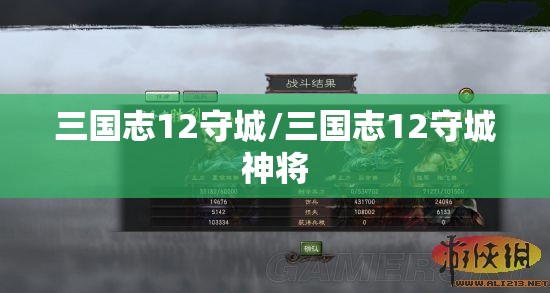 三国志12守城/三国志12守城神将