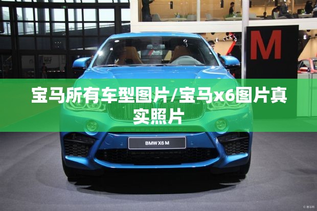 宝马所有车型图片/宝马x6图片真实照片
