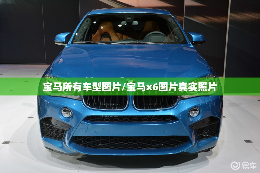 宝马所有车型图片/宝马x6图片真实照片