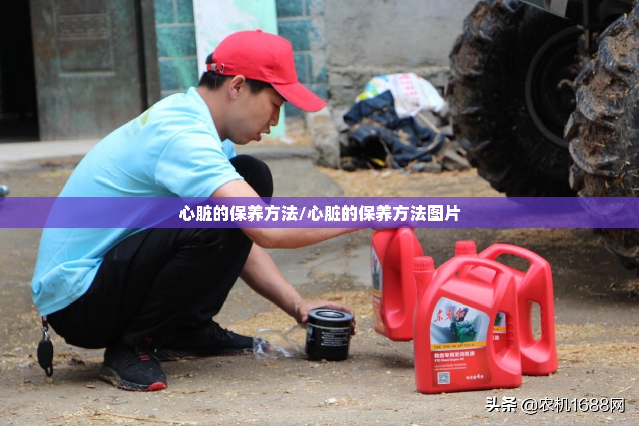 心脏的保养方法/心脏的保养方法图片 心脏的保养方法/心脏的保养方法图片