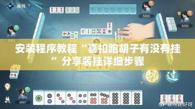 安装程序教程“喜扣跑胡子有没有挂”分享装挂详细步骤
