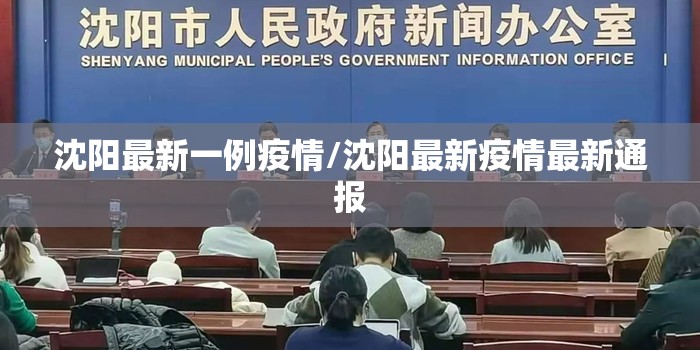 沈阳最新一例疫情/沈阳最新疫情最新通报