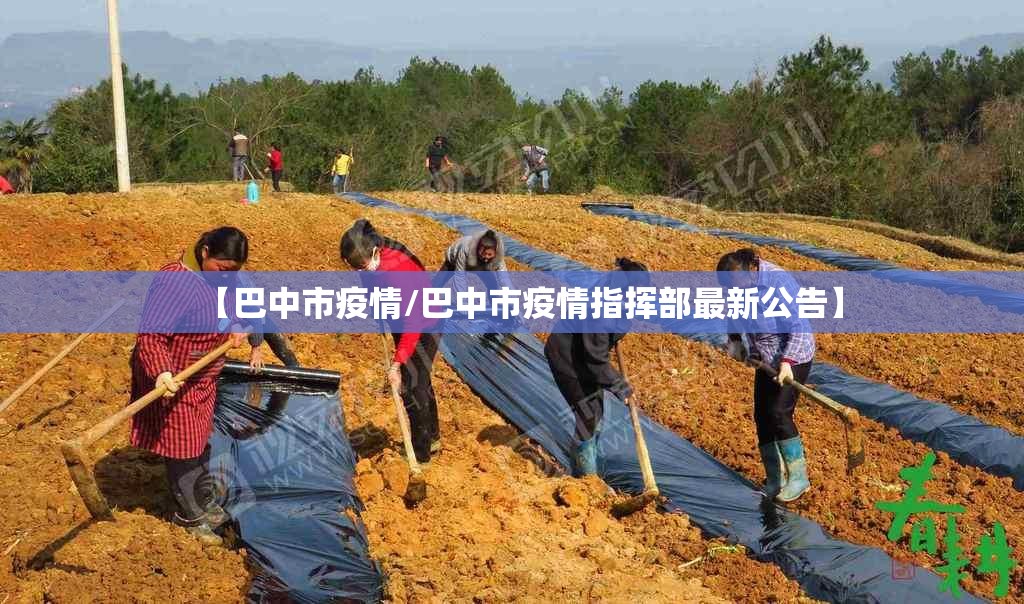 【巴中市疫情/巴中市疫情指挥部最新公告】