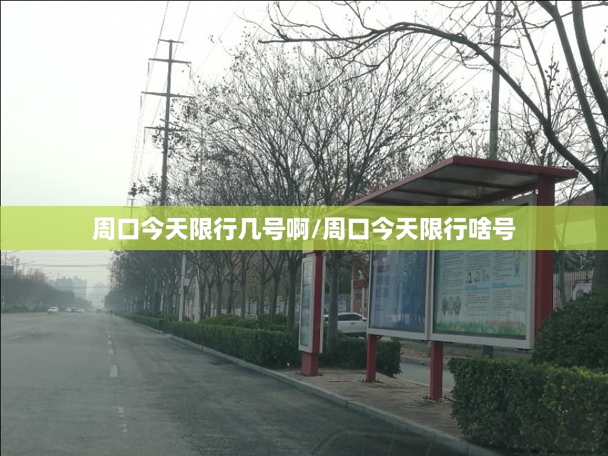 周口今天限行几号啊/周口今天限行啥号 周口今天限行几号啊/周口今天限行啥号