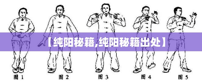 【纯阳秘籍,纯阳秘籍出处】