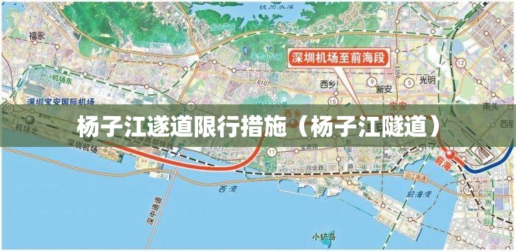 杨子江遂道限行措施(杨子江隧道) 杨子江遂道限行措施(杨子江隧道)
