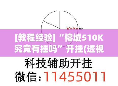 [教程经验]“榕城510K究竟有挂吗	”开挂(透视)辅助神器