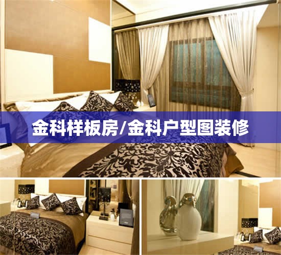 金科样板房/金科户型图装修 金科样板房/金科户型图装修