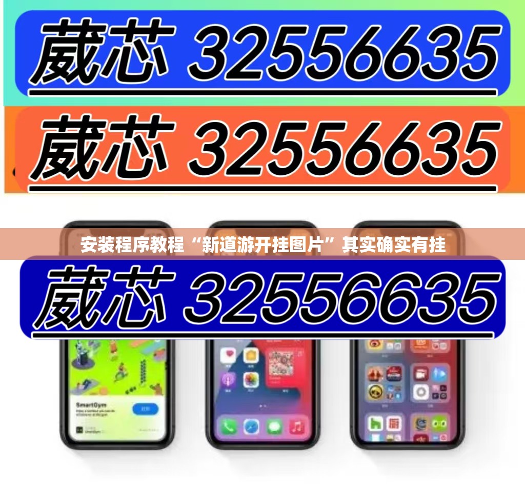 安装程序教程“新道游开挂图片”其实确实有挂