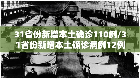 31省份新增本土确诊110例/31省份新增本土确诊病例12例 31省份新增本土确诊110例/31省份新增本土确诊病例12例