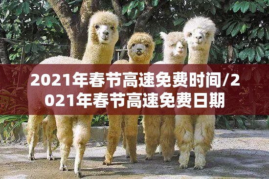 2021年春节高速免费时间/2021年春节高速免费日期 2021年春节高速免费时间/2021年春节高速免费日期