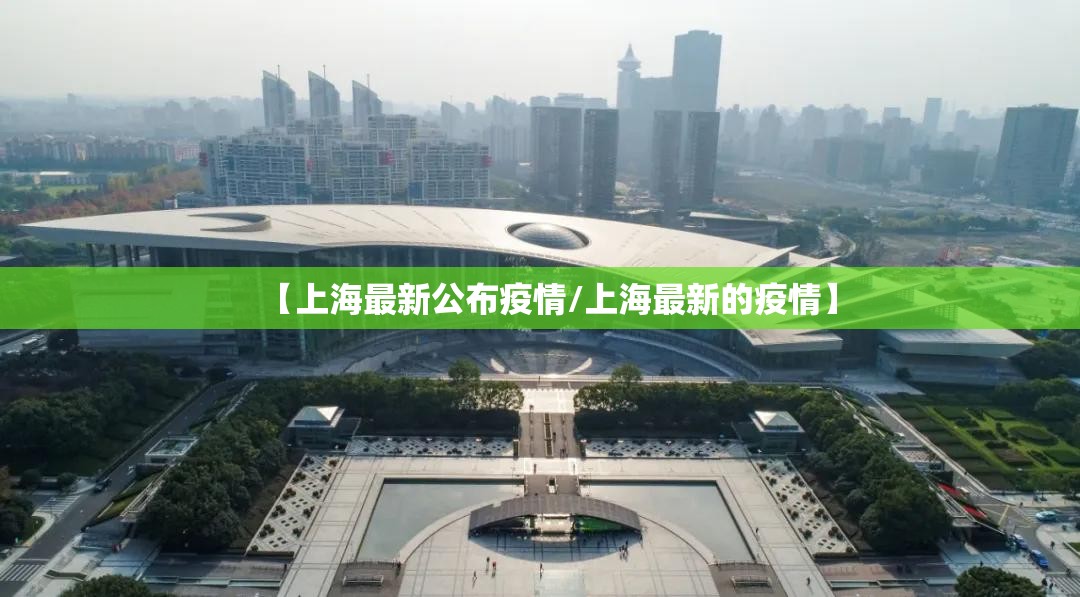 【上海最新公布疫情/上海最新的疫情】