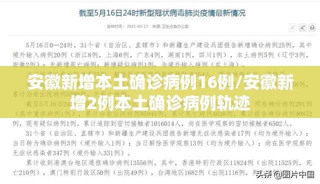 安徽新增本土确诊病例16例/安徽新增2例本土确诊病例轨迹 安徽新增本土确诊病例16例/安徽新增2例本土确诊病例轨迹