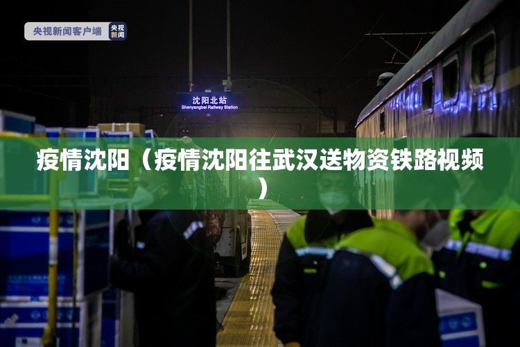 疫情沈阳(疫情沈阳往武汉送物资铁路视频) 疫情沈阳(疫情沈阳往武汉送物资铁路视频)