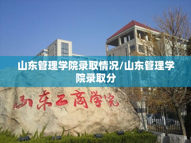 山东管理学院录取情况/山东管理学院录取分 山东管理学院录取情况/山东管理学院录取分