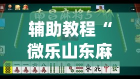 辅助教程“微乐山东麻将万能开挂器”开挂(透视)辅助教程