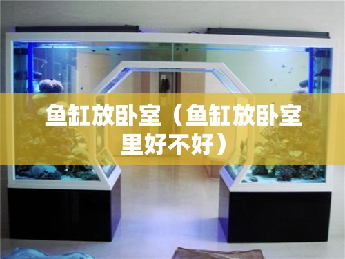 鱼缸放卧室(鱼缸放卧室里好不好) 鱼缸放卧室(鱼缸放卧室里好不好)