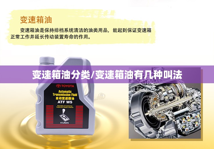 变速箱油分类/变速箱油有几种叫法 变速箱油分类/变速箱油有几种叫法