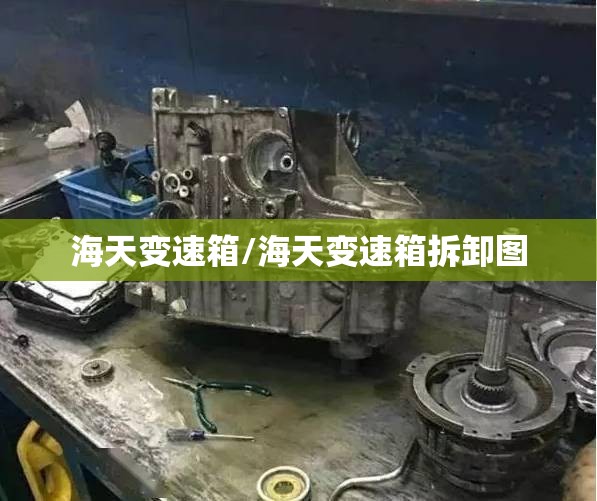 海天变速箱/海天变速箱拆卸图