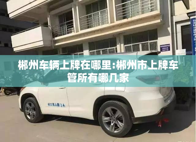 郴州车辆上牌在哪里:郴州市上牌车管所有哪几家 郴州车辆上牌在哪里:郴州市上牌车管所有哪几家