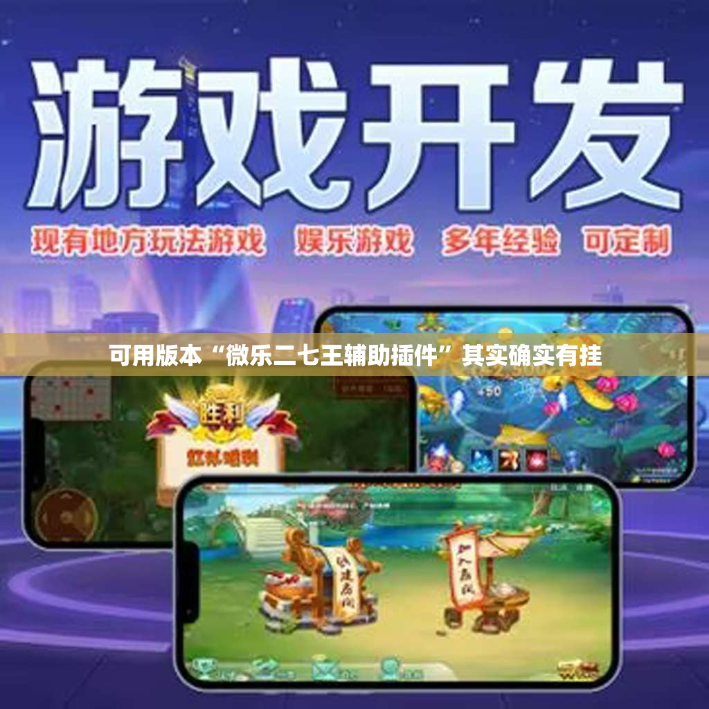 可用版本“微乐二七王辅助插件”其实确实有挂