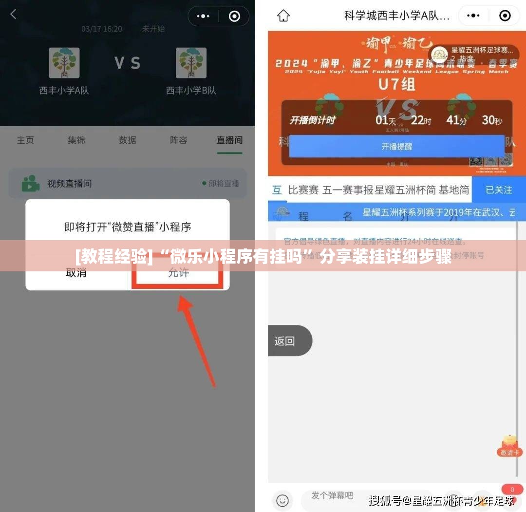 [教程经验]“微乐小程序有挂吗	”分享装挂详细步骤