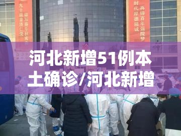 河北新增51例本土确诊/河北新增82例本土确诊 河北新增51例本土确诊/河北新增82例本土确诊