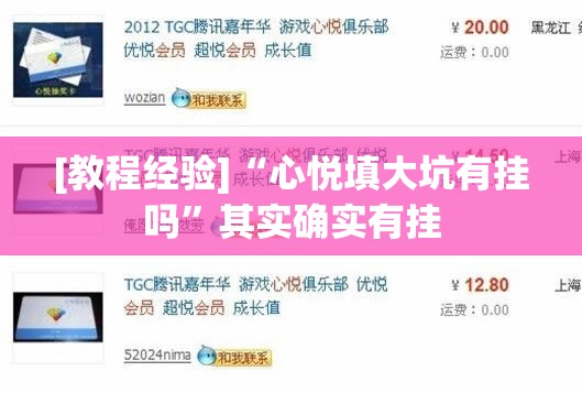 [教程经验]“心悦填大坑有挂吗”其实确实有挂