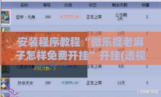 安装程序教程“微乐捉老麻子怎样免费开挂”开挂(透视)辅助神器