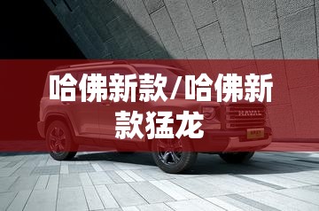 哈佛新款/哈佛新款猛龙 哈佛新款/哈佛新款猛龙