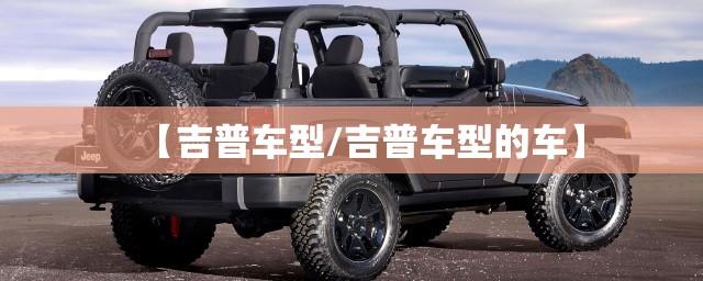 【吉普车型/吉普车型的车】