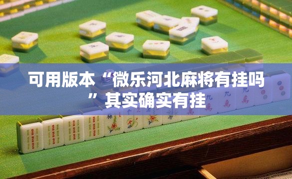 可用版本“微乐河北麻将有挂吗”其实确实有挂