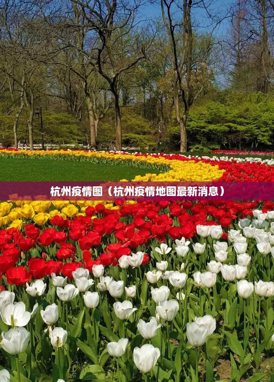杭州疫情图（杭州疫情地图最新消息）